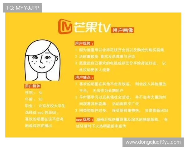 选择凯发体育平台开户的用户体验与反馈总结