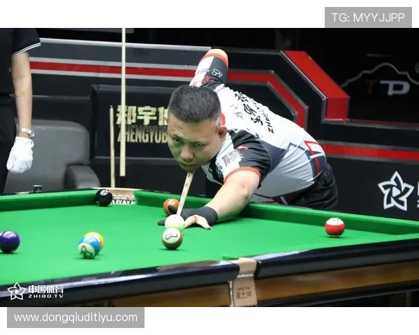 如何通过半岛体育在线网站获取最权威的体育新闻与赛事资讯